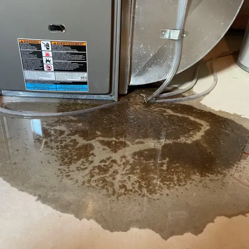 Appliance Leak Cleanup in Elkin, NC